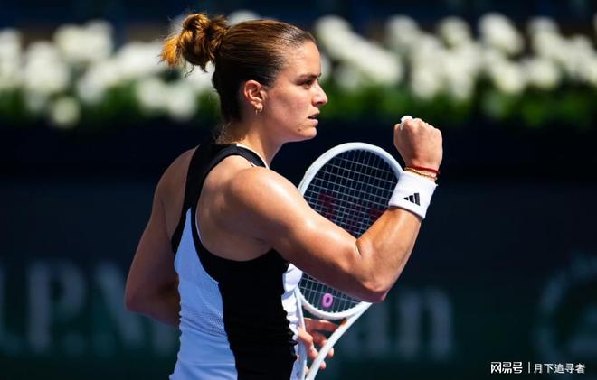 球台以及球 球台以及球