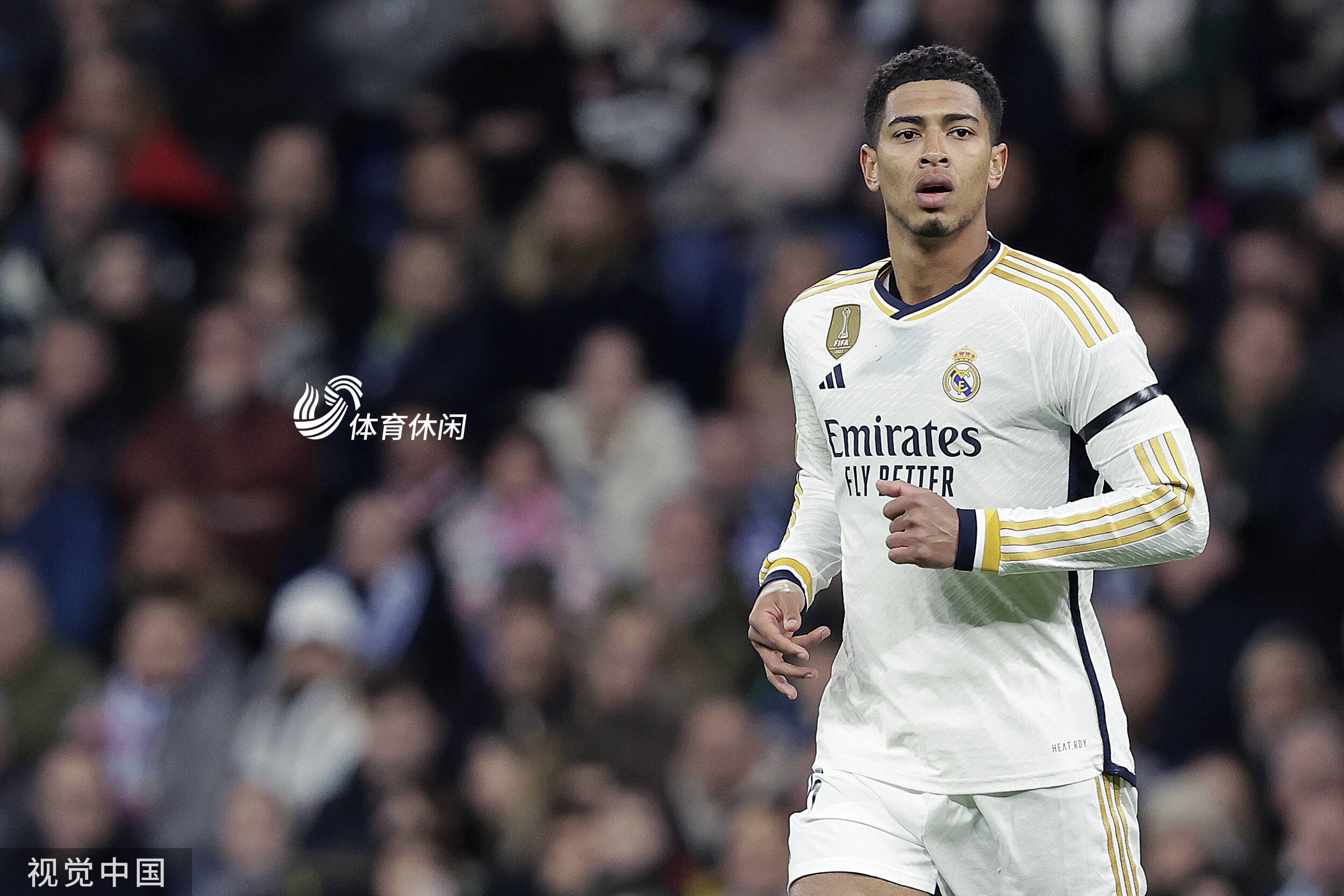 与品牌的双 与品牌的双